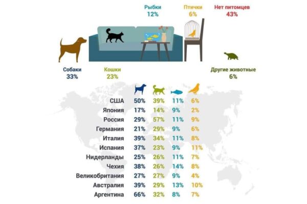 Американцы предпочитают собак, русские — кошек