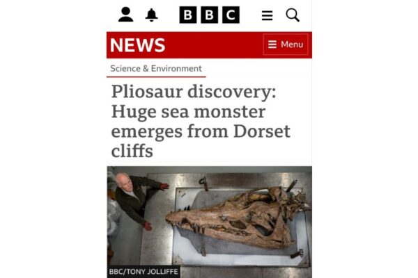 В Британии случайно нашли череп главного морского хищника в истории планеты